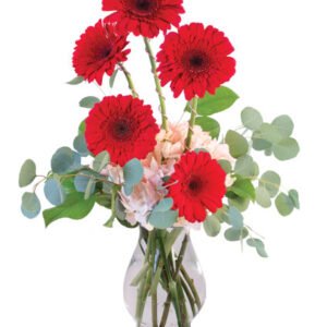 Crimson Gerberas Floral Design